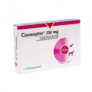 3605874594494.jpg CLAVASEPTIN COMPRIMIDOS MASTICABLES 250 MG X 10