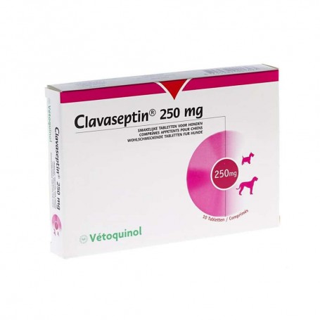CLAVASEPTIN COMPRIMIDOS MASTICABLES 250 MG X 10