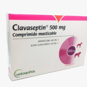 3605874594500.jpg CLAVASEPTIN COM 500 MG X 10