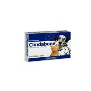 CLINDABONE COM 165 MG X 20