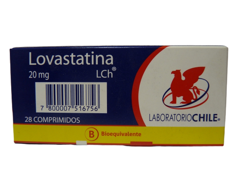 LOVASTATINA COM 20 MG X 28 CHILE